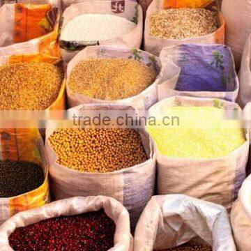 Seed Gravity Purifier photo-6