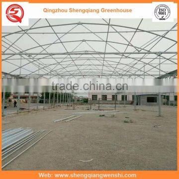 High Quality 8.0m Multi-span Agriculture Plastic Greenhouse for Sale photo-6