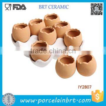 Adorable Set of 9 Eggs Design Ceramic Plant Pot