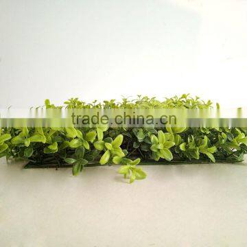 Lifelike Outdoor and Indoor Decoration Artificial Grass Boxwood Mat photo-4