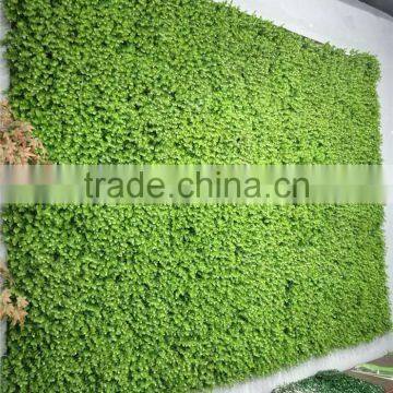Recycling Material Long Life Green Grass Wall for Indoor and Outdoor Decor photo-5