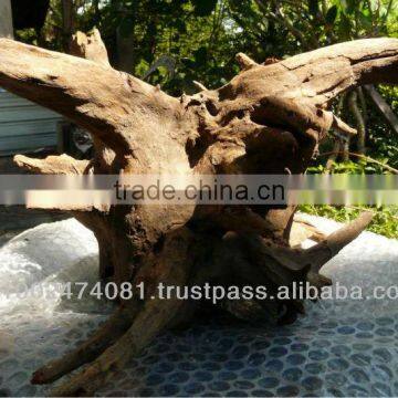 Natural roots for fish tanks accessories