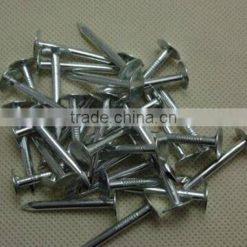 Galvanized Cupper Nails With Factory Price photo-5