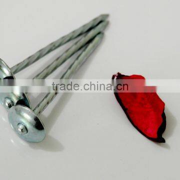 Cheap Umbrella Roofing Nails/umbrella Head Roofing Nail