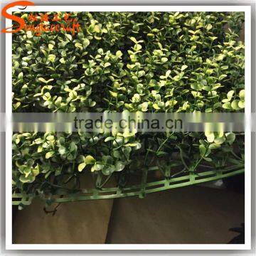 50cm L x 50cm W Artificial Green Leaf Grass Boxwood Hedge Fence 20160622 photo-2