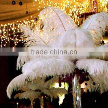 Snow White Ostrich Feather Wing Plume/Drab for Wedding Centerpiece Decoration