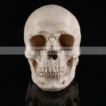 halloween party club bar scary gift toy skull head decoration human skull gothic ornament