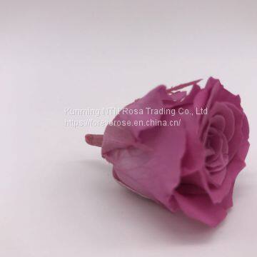 Preserved Rose Flowers for Wedding Decoration Flower Arrangement photo-2