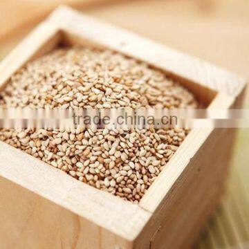 Hulled White Sesame Seeds for Export