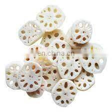 Dried Sliced Lotus Roots/Rich in Nutrition From Vietnam photo-2