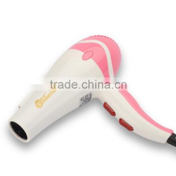 Fashionable Hair Dryer Student Hair Dryer Travel Iron Wholesale