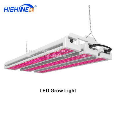 professional factory hishine PG01 sunlight full spectrum  planting   600W LED grow lights