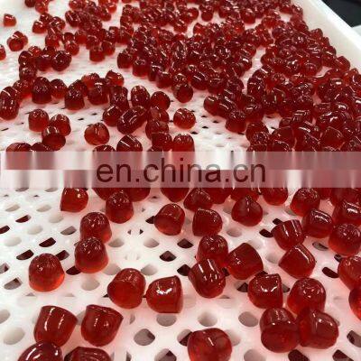 Hot Sale Manual Chocolate Making Machine Gummy Depositor Automatic Machine (table-top) photo-5