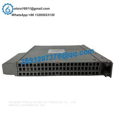 ICS TRIPLEX T8311 Interface Module