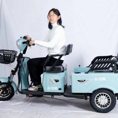 3 Wheels 800w Motor Long Endurance Electric Tricycle Adult Electric Tricycle for Hauling Goods photo-4