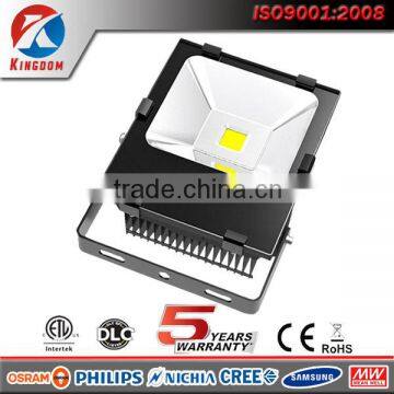 blue green warm white 20w 50w 100w outdoor led heavy duty flood lighting                        
                                                Quality Choice