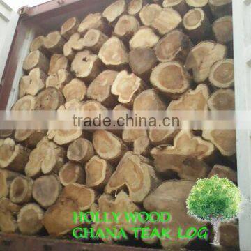 Teak logs Grade A from West Africa Ghana monthly 8FCL supply (skype: ste.nanking)