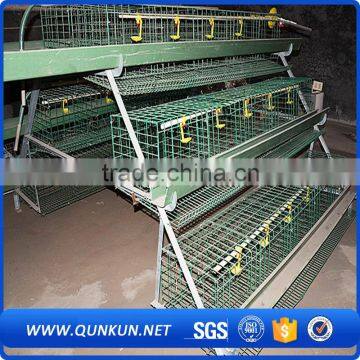 Automatic Chicken Layer Poultry Control Shed Equipment photo-5