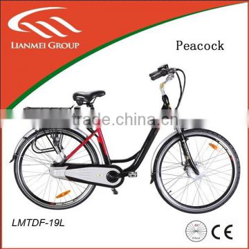 Buy Electric City Bike in China LMTDF 19L