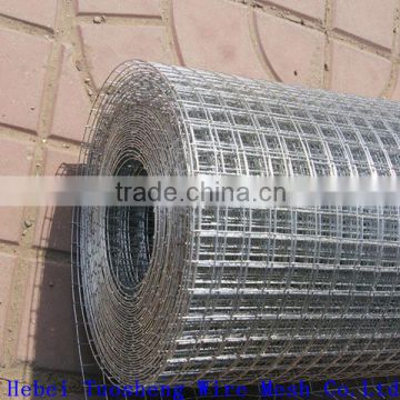 hot sale! hot dip galvanized welded wire mesh(anping factory)