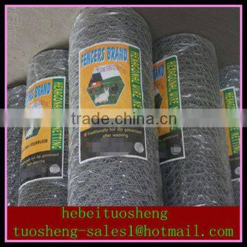 Hot dipped galvanized chicken wire mesh