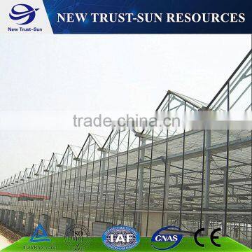 Simple Low Cost Glass Agricultural Greenhouse photo-3