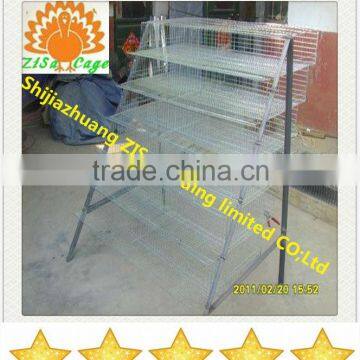 capacity 240 quails in one feedr quail battery cage hot sale