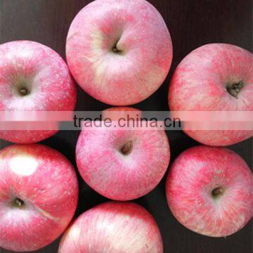 China Fresh Sweet Fuji Apple Red Apple