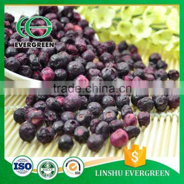 Freeze Dried Blueberry