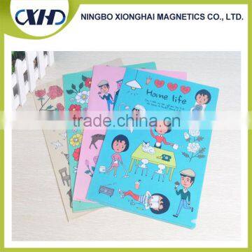 Gold supplier china plastic file folder