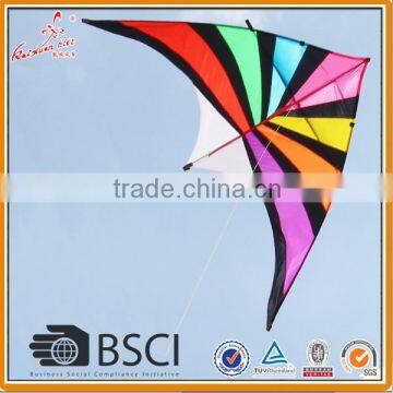 Big Delta Kite, Nylon kite from Weifang Kite factory