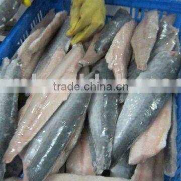 Frozen spanish mackerel fillet