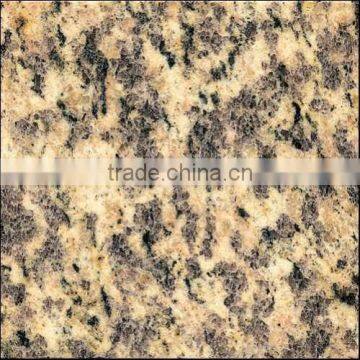 Chinese Granite Tiger Skin Yellow