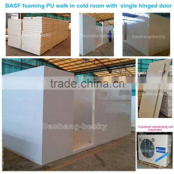 BASF foaming PU walk in cold room with single hinged door