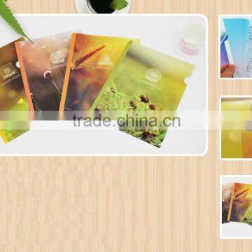 New products for 2016 fancy pp L shape file folder made in china supplier and manufacturer