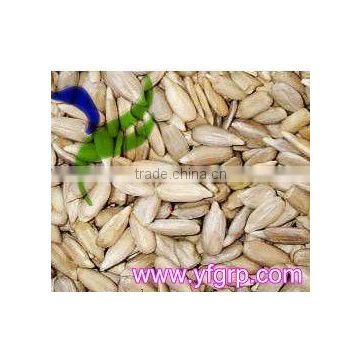 oasted pumpkin seeds kernels