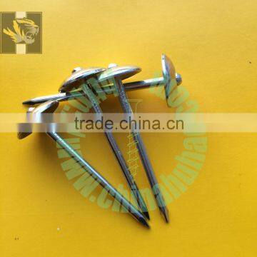 factory direct sales zinc plating umbrella head roofing screws