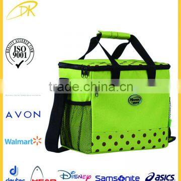 Polyester 600D denier Family Disposable Cooler bag with high quality insulation foa