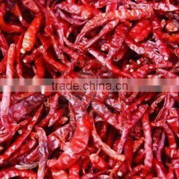 Red Chilli