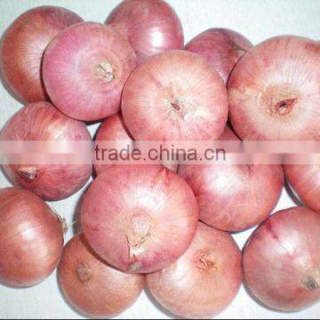 Chinese 2011 New Fresh Red Onion