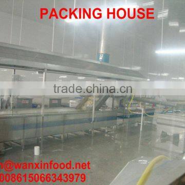 PICKLED SUSHI SALTED GINGER photo-2