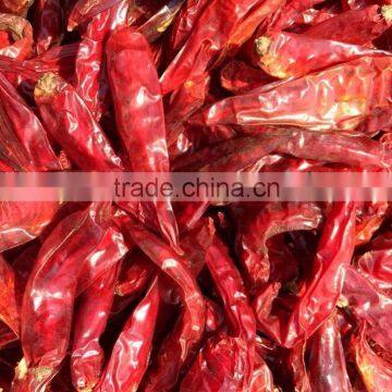 Dried Red Hot Chilli photo-2