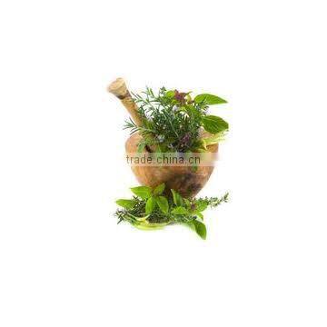 Yerba Mate Leaf Extract