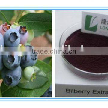 Professional Manufactory Supply Chinese Bilberry P.E/ Blueberry Spray-dried Fruit Powder Free Sample Supplied photo-2
