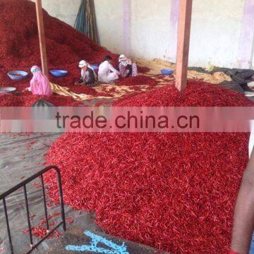 DRIED CHILLI photo-3