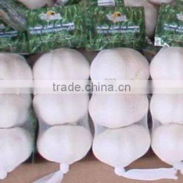 YUYUAN brand hot sail fresh garlic garlic packaging