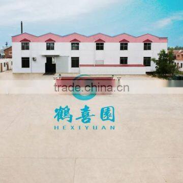 Factory Offer Soya Lecithin Shrimp and Fish Feed Additives photo-3