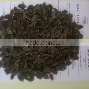 GWS Pumpkin kernels A, AA, AAA Factory