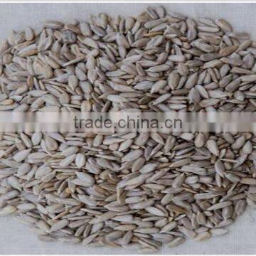 High Quantity Sunflower kernels for bakery grade for importers