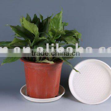 Bioplastic flower pot/Biodegradable flower pot/ Sustainable material/Recyclable